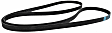 JK61064 Serpentine Belt - Sold Individually