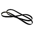 JK6861AC Serpentine Belt - Sold individually