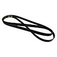 JK6861AC Serpentine Belt - Sold individually