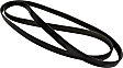 JK6881B Motorcraft OE Replacement Serpentine Belt - V-belt, Direct Fit, Sold individually