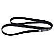 JK8872E Motorcraft OE Replacement Serpentine Belt - V-belt, Direct Fit, Sold individually