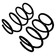 81598 Front Coil Springs, Set of 2