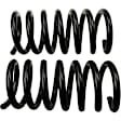 81609 Rear Coil Springs, Set of 2 Problem Solver Series