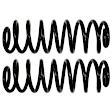 2006 Volkswagen Beetle - Rear, Coil Springs, Set of 2