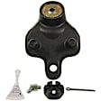 K500175 Front, Driver or Passenger Side, Lower Ball Joint
