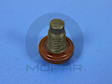 06506100AA Engine Oil Drain Plug - Direct Fit, Sold individually