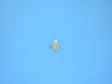 06506131AA Grille Emblem Nut - Direct Fit