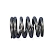 53010388 Valve Spring - Direct Fit