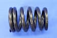 53010388 Valve Spring - Direct Fit