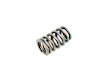 53021887AA Valve Spring - Direct Fit