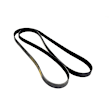53032132AL OE Replacement Series Serpentine Belt - Sold Individually