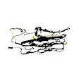 55079164AA Bumper Bracket