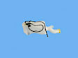 55112669AA 2.4L, 4Cyl Washer Reservoir, Without PumP