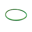 55366298AA Fuel Pump Seal - Direct Fit