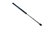 55372200AA Driver or Passenger Side Lift Support, Sold Individually