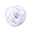 68020644AA Headlight Retainer - Sold individually