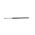 68089034AD Lift Support, Mini Passenger Van 3.6L, 6Cyl, Sold Individually