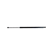 68089034AD Lift Support, Mini Passenger Van 3.6L, 6Cyl, Sold Individually