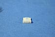 2015 Dodge Charger - Fuse, Sold Individually