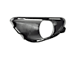 68138358AA Fog Light Bezel