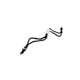 68199891AA Oil Cooler Hose