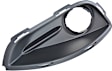 68229006AA Fog Light Bezel