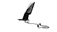 68231241AI Driver Side Mirror