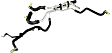 68260023AB Radiator Hose, 6.4L, 8Cyl OE Replacement Series