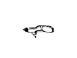 2020 Ram 1500 - Front, Passenger Side Tow Hook, Eng VIN: T, 4-Door, Crew Cab Pickup, Sold Individually