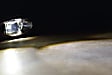 LF170 Front, Driver and Passenger Side LED Fog Light, With bulb(s), XB LED Series
