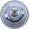 1061-190 Thermostat
