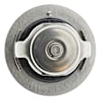 1062-190 Thermostat