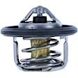 1069-188 Thermostat