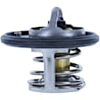 1069-188 Thermostat