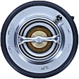 1070-180 Thermostat