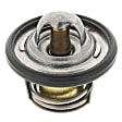 1071-198 Thermostat