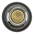 1071-198 Thermostat