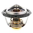 1107-200 Thermostat