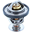 1207-113 Thermostat