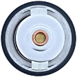 1207-113 Thermostat
