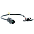 1KR146 Crankshaft Position Sensor