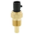 1TS1061 Coolant Temperature Sensor