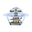 200-160 Thermostat