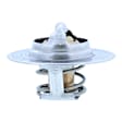 200-160 Thermostat