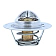 200-170JV Thermostat