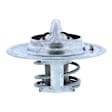 200-180JV Thermostat