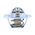 2001 Dodge Ram 1500 Van - Thermostat, 3.9L 6Cyl, Temperature 195F; Oe Specified Temperature
