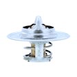 2001 Dodge Ram 1500 Van - Thermostat, 3.9L 6Cyl, Temperature 195F; Oe Specified Temperature