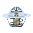 200-195JV Thermostat