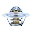 200-195JV Thermostat